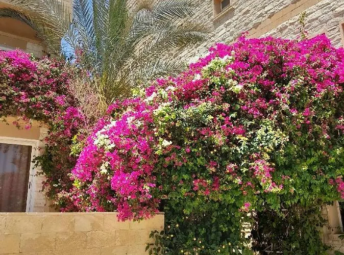 Palma Hurgáda,8p4j22q, Palma Resort, K75, Al Ismaileya, Apartman Gurdaka