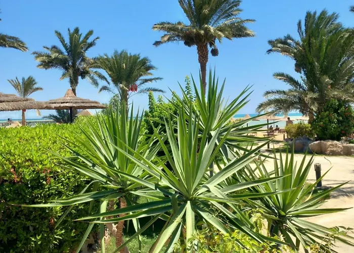 Palma Hurgáda,8p4j22q, Palma Resort, K75, Al Ismaileya, * Gurdaka