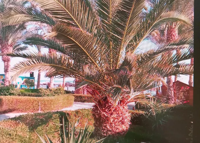 Apartman Palma Hurgáda,8p4j22q, Palma Resort, K75, Al Ismaileya, *